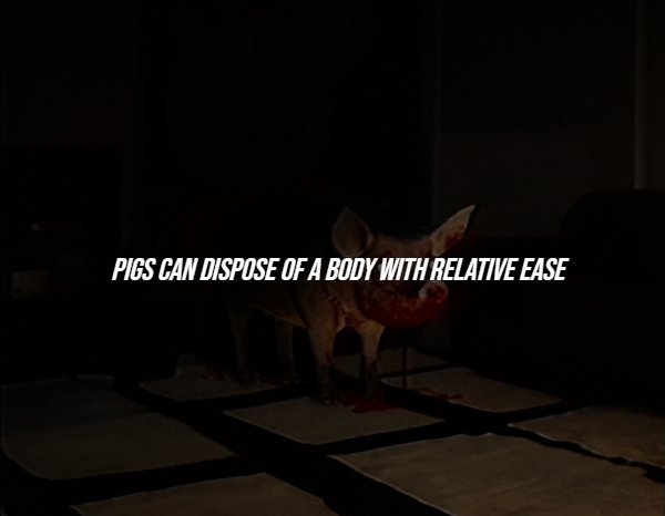 Creepy Facts (15 pics)