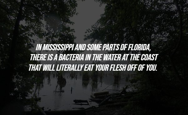 Creepy Facts (15 pics)