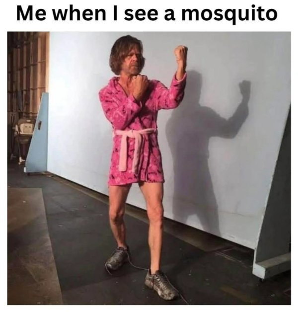 Random Memes (28 pics)
