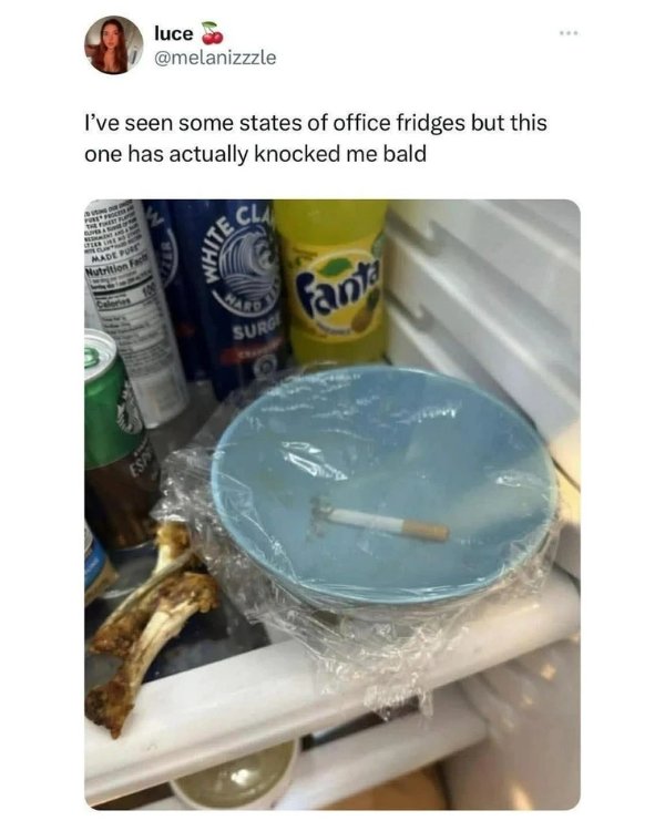 Random Memes (28 pics)