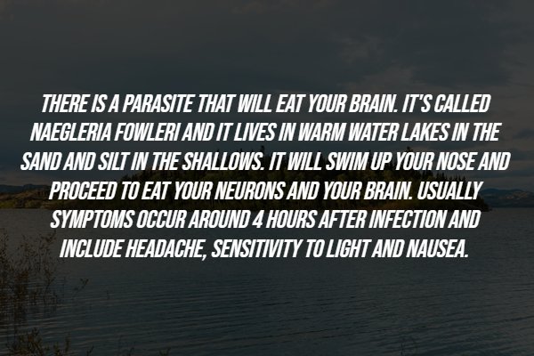 Creepy Facts (15 pics)