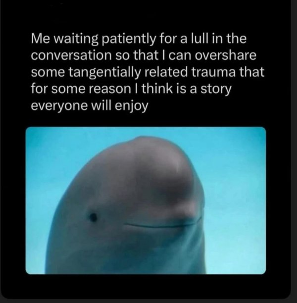 Random Memes (28 pics)