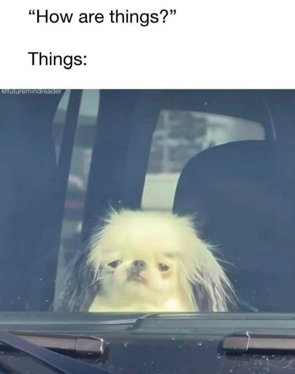 Random Memes (28 pics)