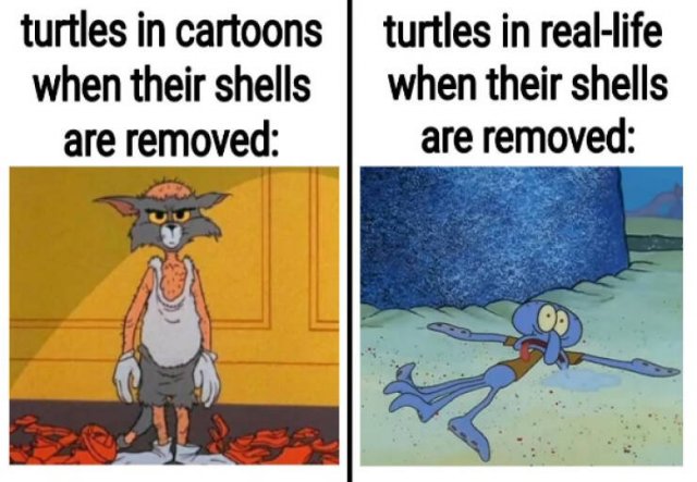Funny Memes (23 pics)