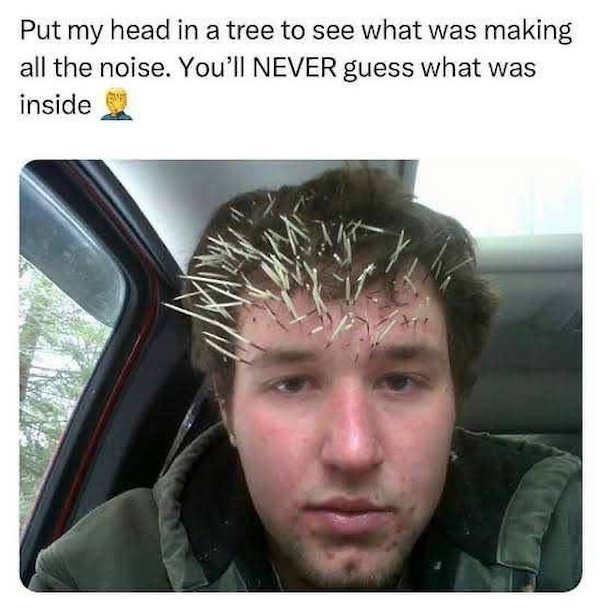 Funny Posts (26 pics)
