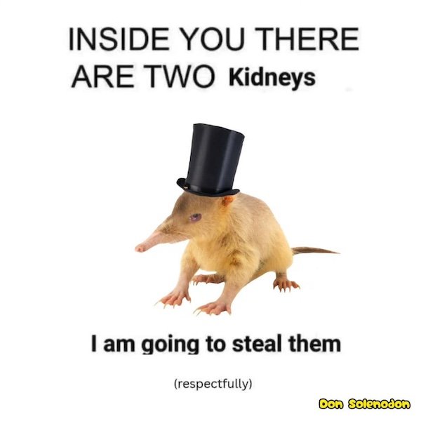 Funny Posts (26 pics)