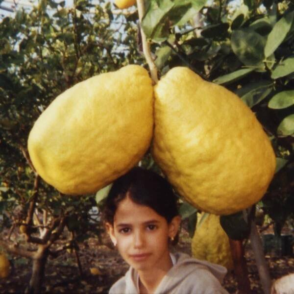 Giant Things (17 pics)
