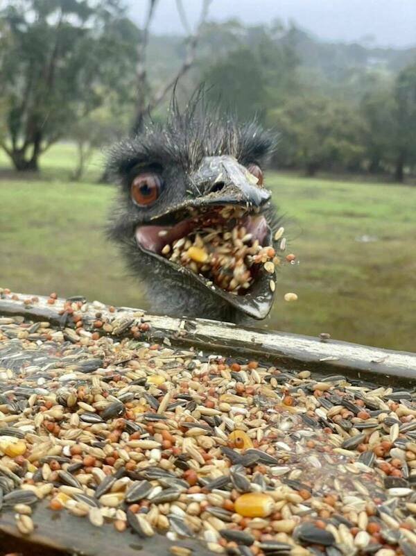 Right Moment (16 pics)