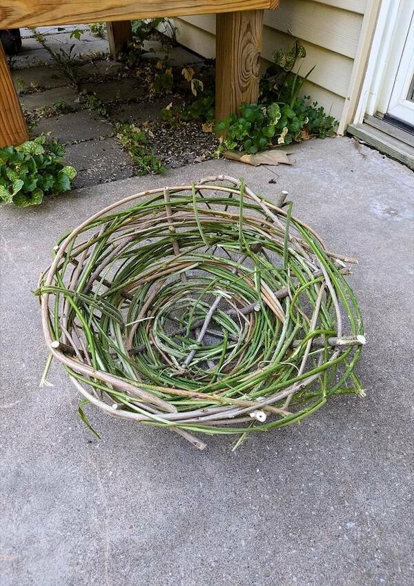 Bushcraft Photos (20 pics)