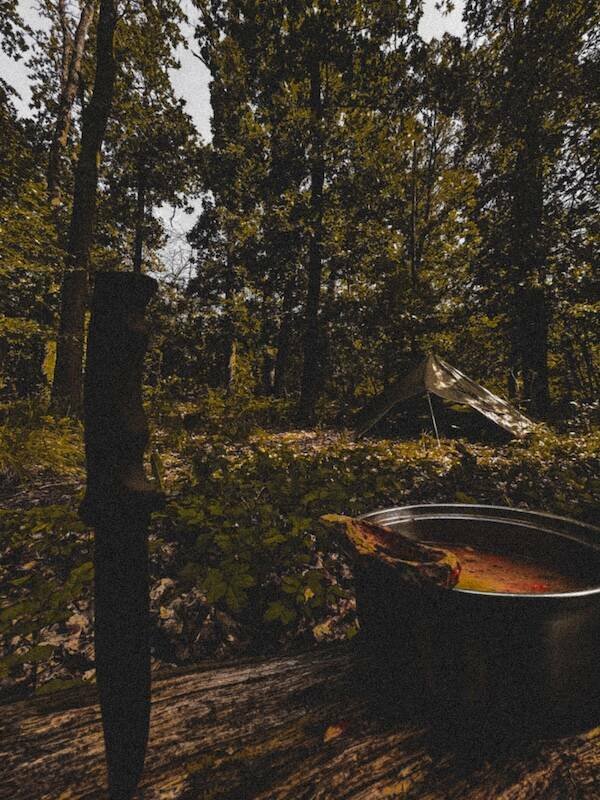 Bushcraft Photos (20 pics)