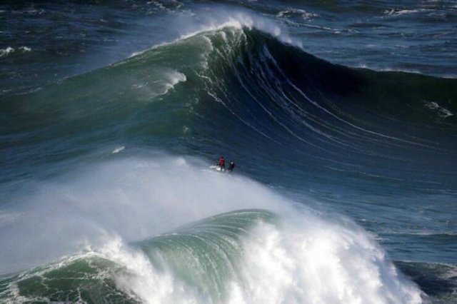 Giant Things (17 pics)