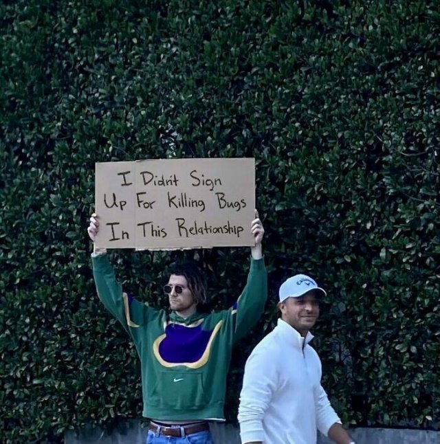 Funny Signs (25 pics)