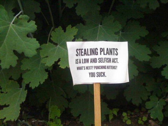Passive Aggression From Neighbors (27 pics)