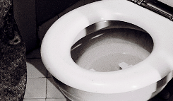 Random Facts (15 gifs)