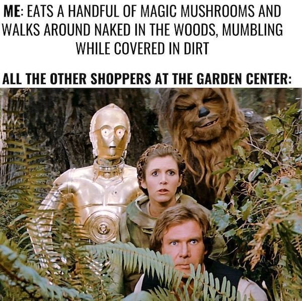 Funny Memes (34 pics)