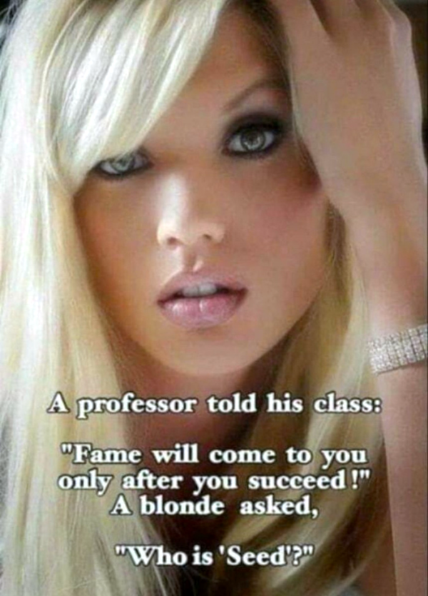 Funny Memes (34 pics)
