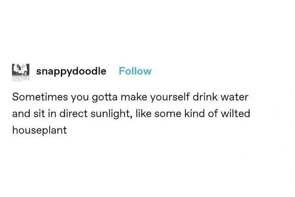 Funny Memes (27 pics)