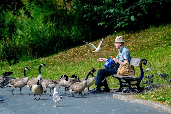 Photos For Good Mood (34 pics)