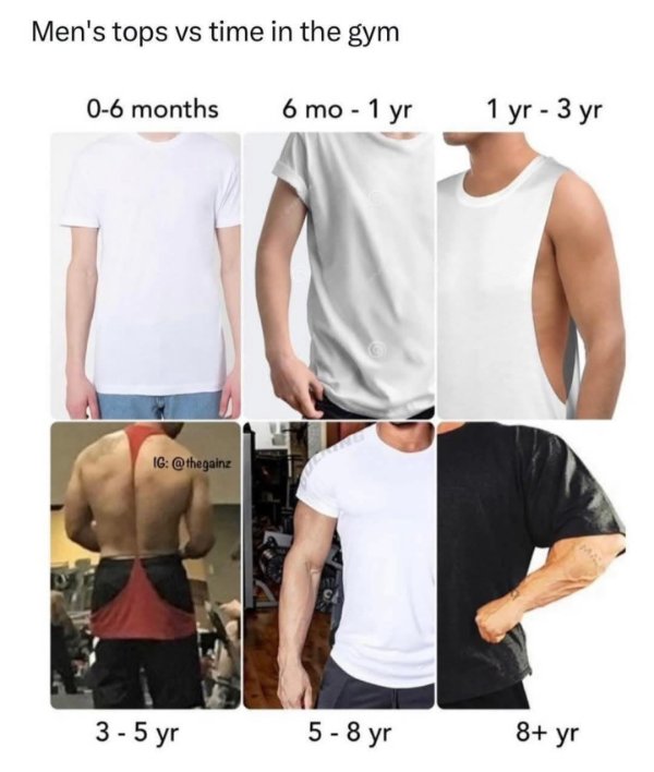 Gym Memes (30 pics)