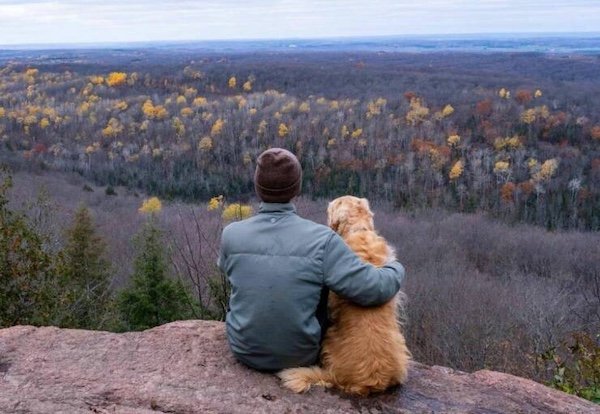 Photos For Good Mood (34 pics)