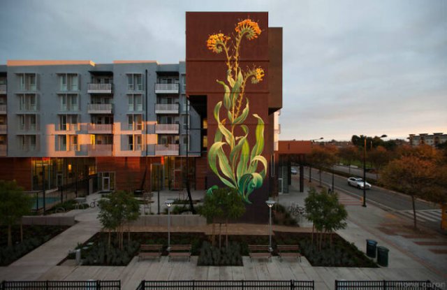 Street Art (24 pics)