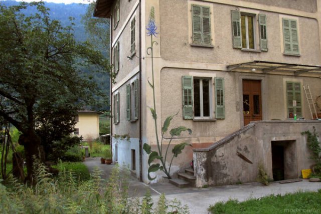 Street Art (24 pics)
