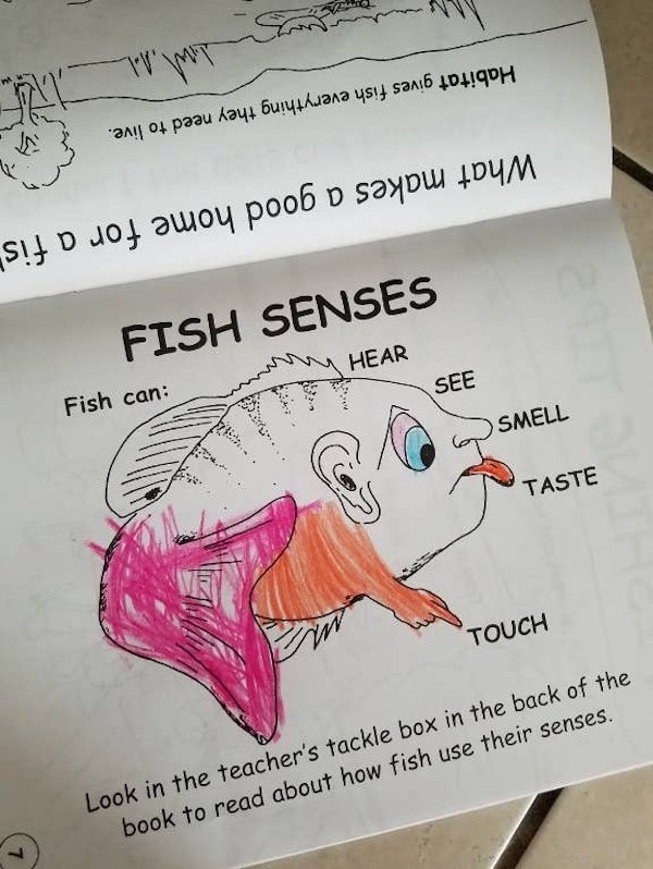Funny Mistakes (28 pics)