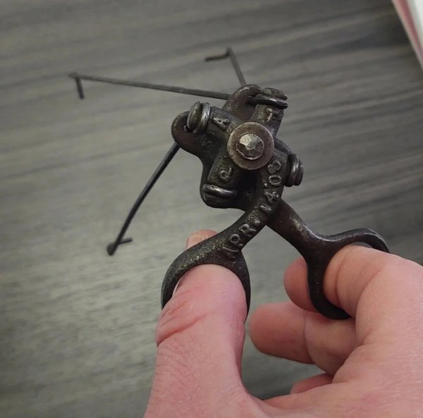 What Are This Things? (16 pics)