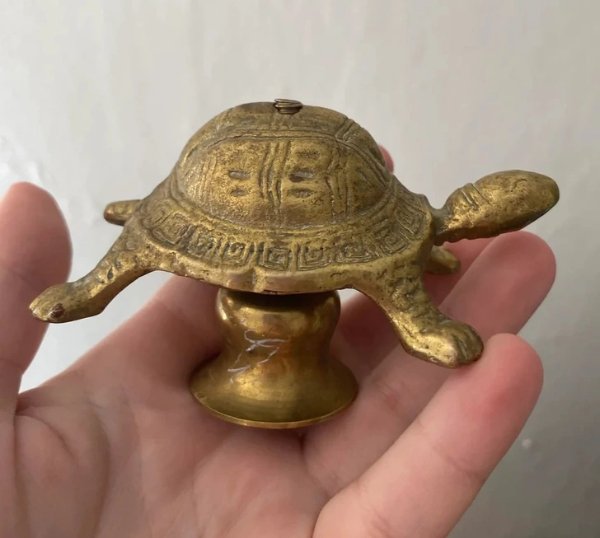 What Are This Things? (16 pics)