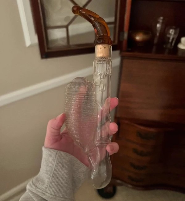 What Are This Things? (16 pics)
