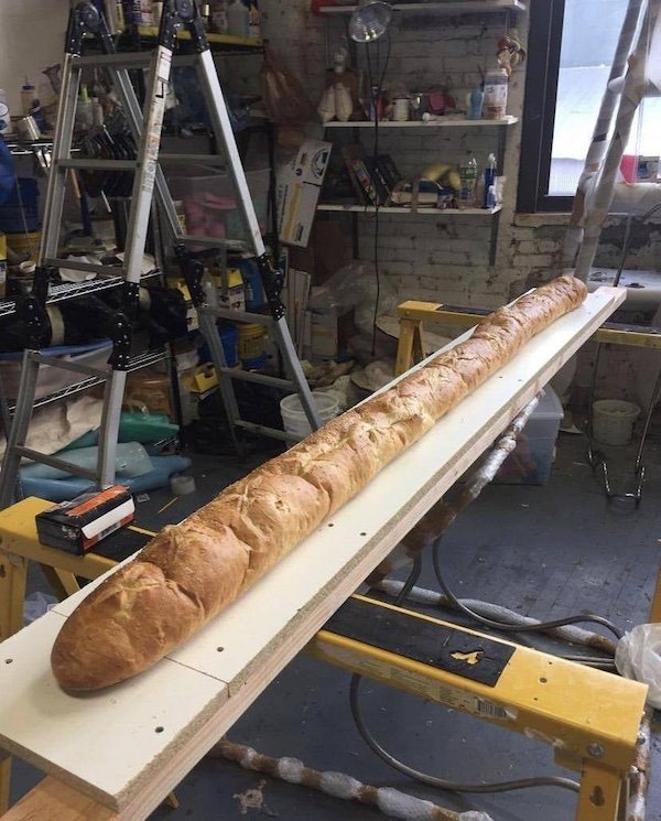 Funny Work Photos (36 pics)