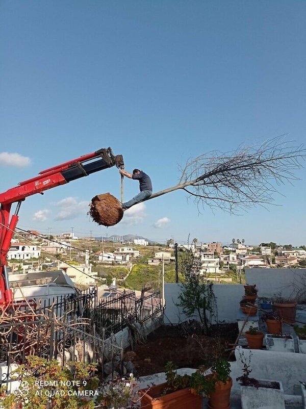 Funny Work Photos (36 pics)