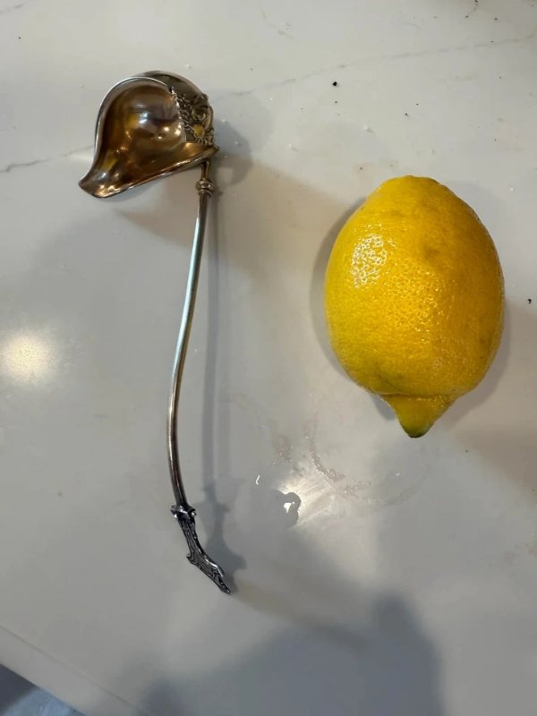 What Are This Things? (16 pics)