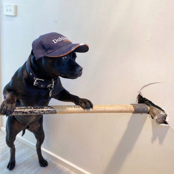 Funny Work Photos (36 pics)