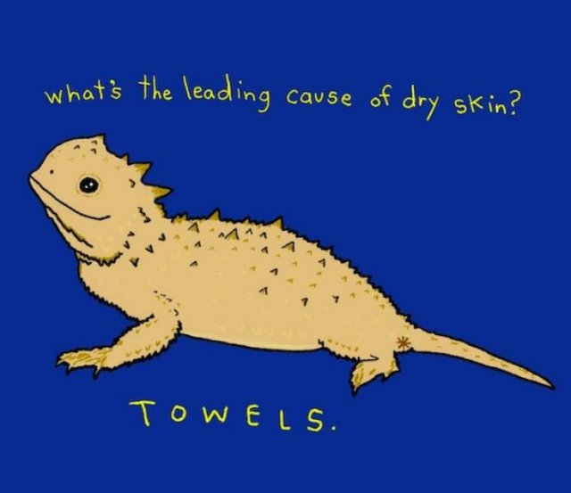 Funny Memes (16 pics)