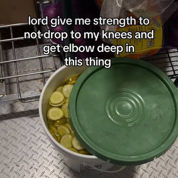 Funny Memes (16 pics)