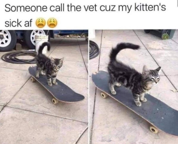 Post And Photos For Good Mood (25 pics)