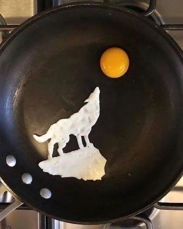 What Is Going On Here? (31pics)