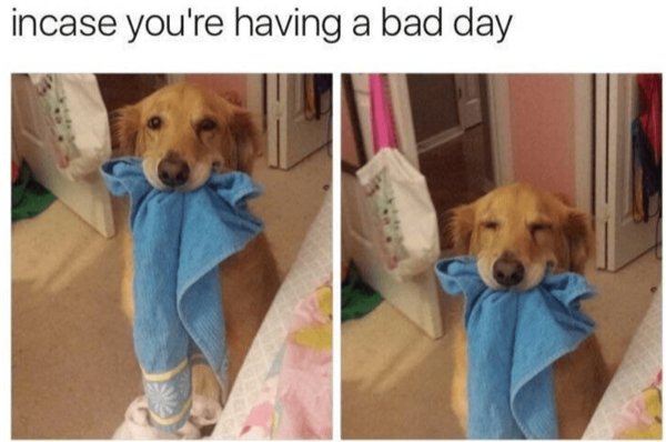 Post And Photos For Good Mood (25 pics)