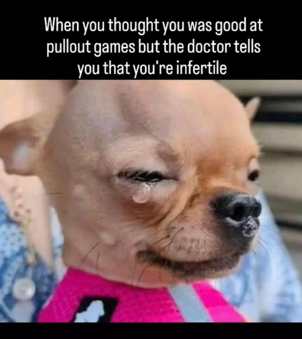 Random Jokes (24 pics)