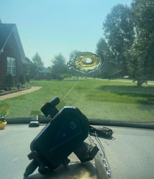 The Heat Is Horrible (27 pics)