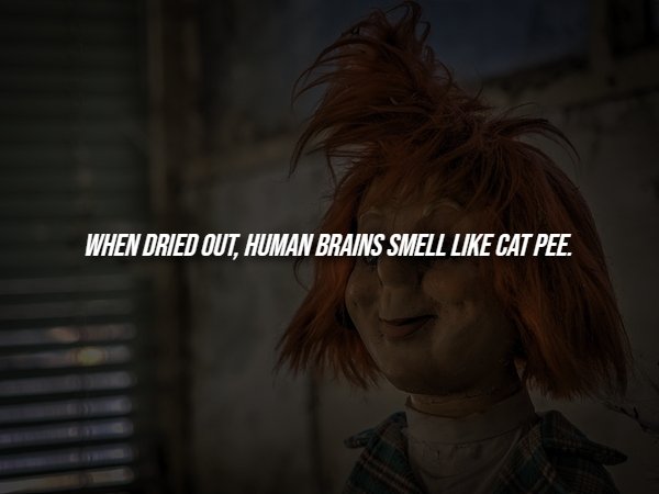 Creepy Facts (14 pics)