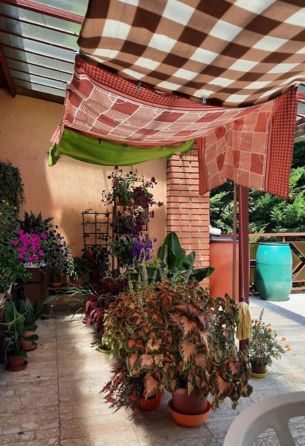 The Heat Is Horrible (27 pics)