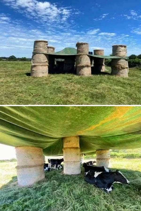 The Heat Is Horrible (27 pics)