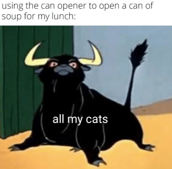 Jokes And Photos For Cats Lovers (31 pics)