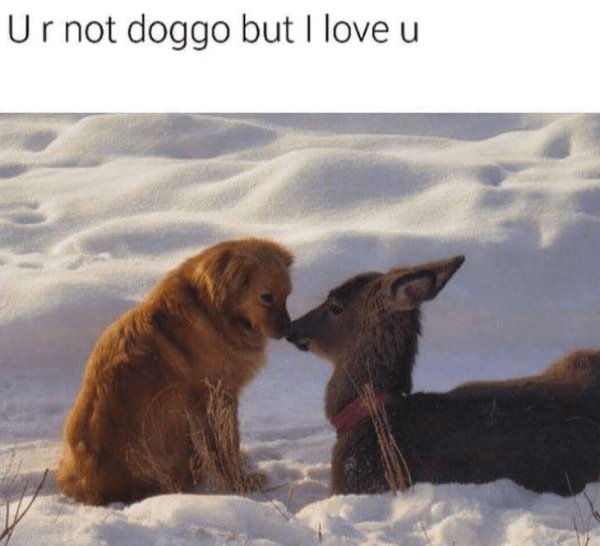 Post And Photos For Good Mood (25 pics)