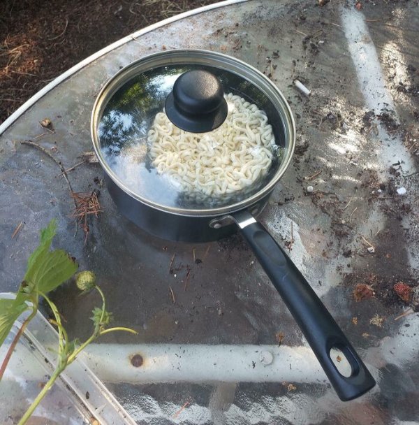 The Heat Is Horrible (27 pics)