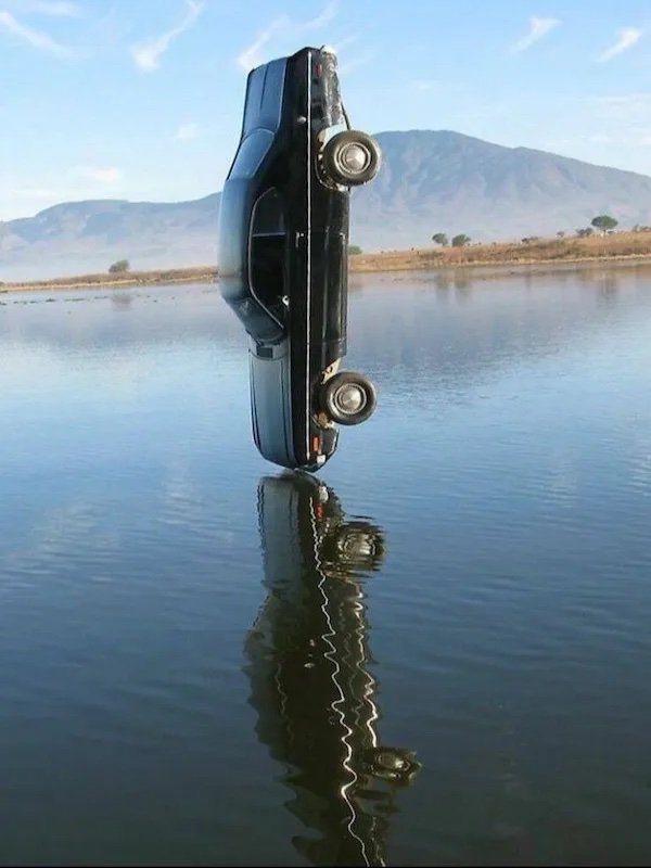 What Is Going On Here? (31pics)