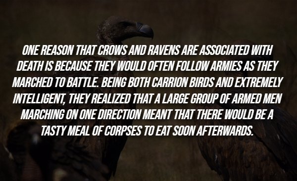 Creepy Facts (14 pics)