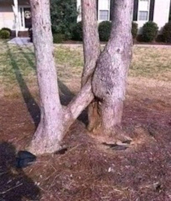 What Is Going On Here? (31pics)